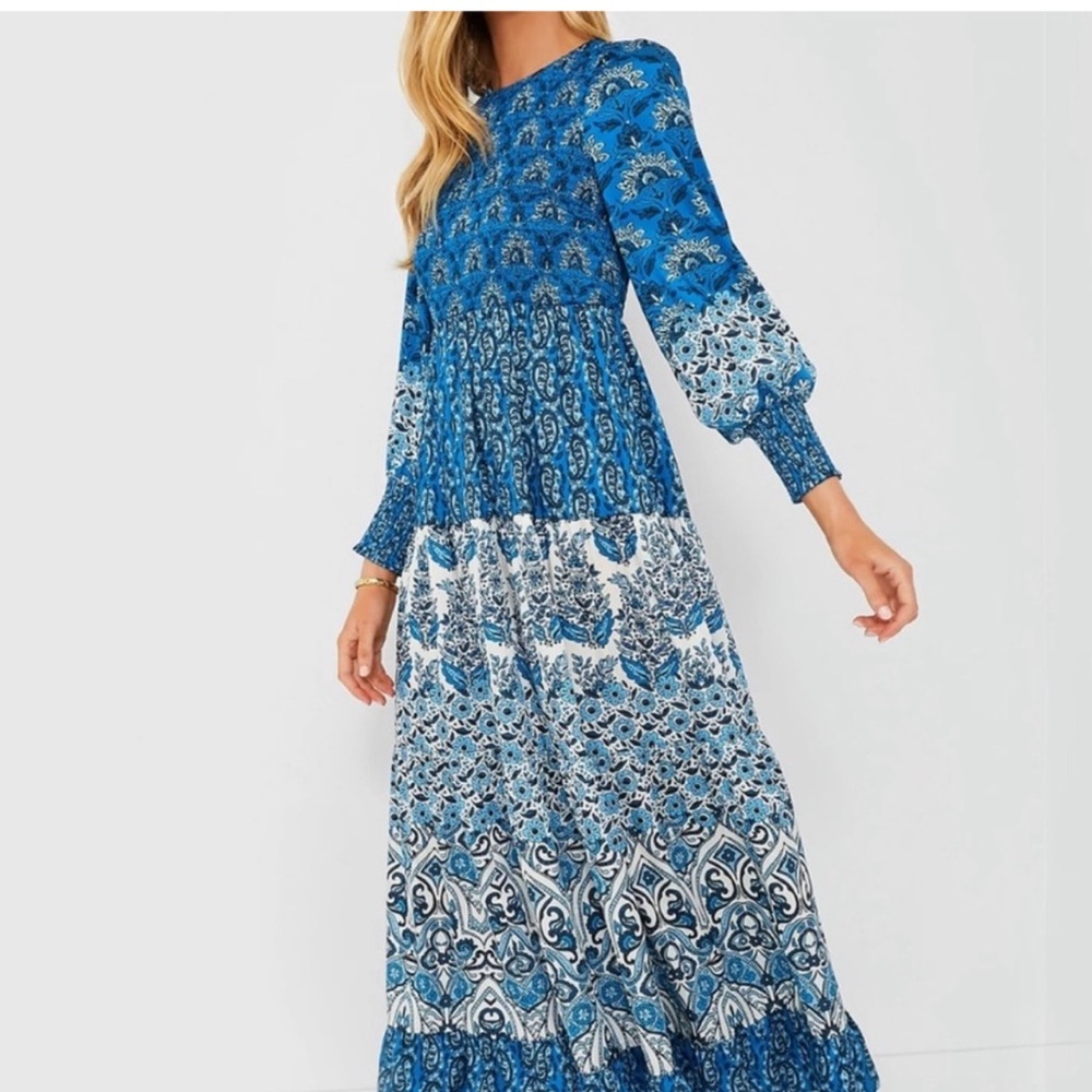 Tuckernuck Blue and White Long Sleeve Printed Maxi Dress